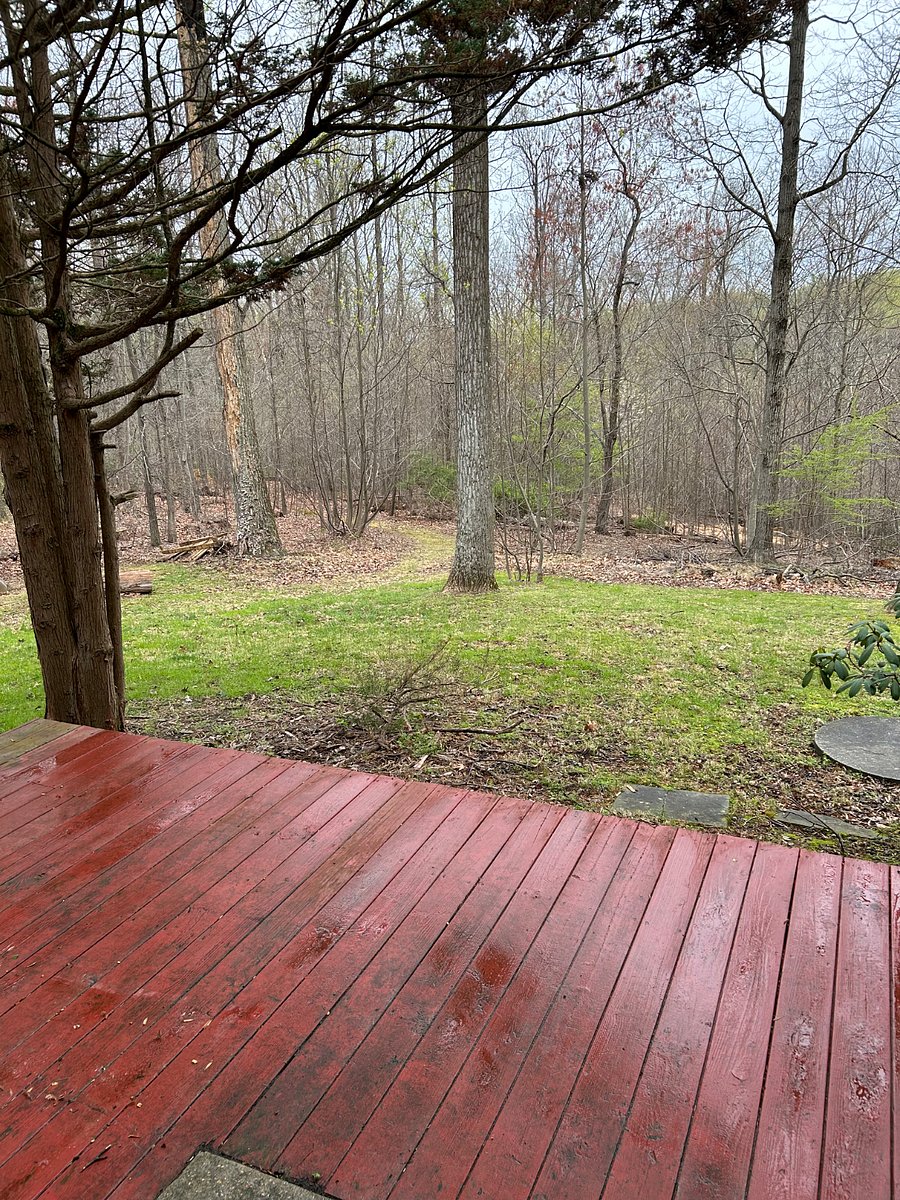 Furnished Finder property 841782_1 photo 3