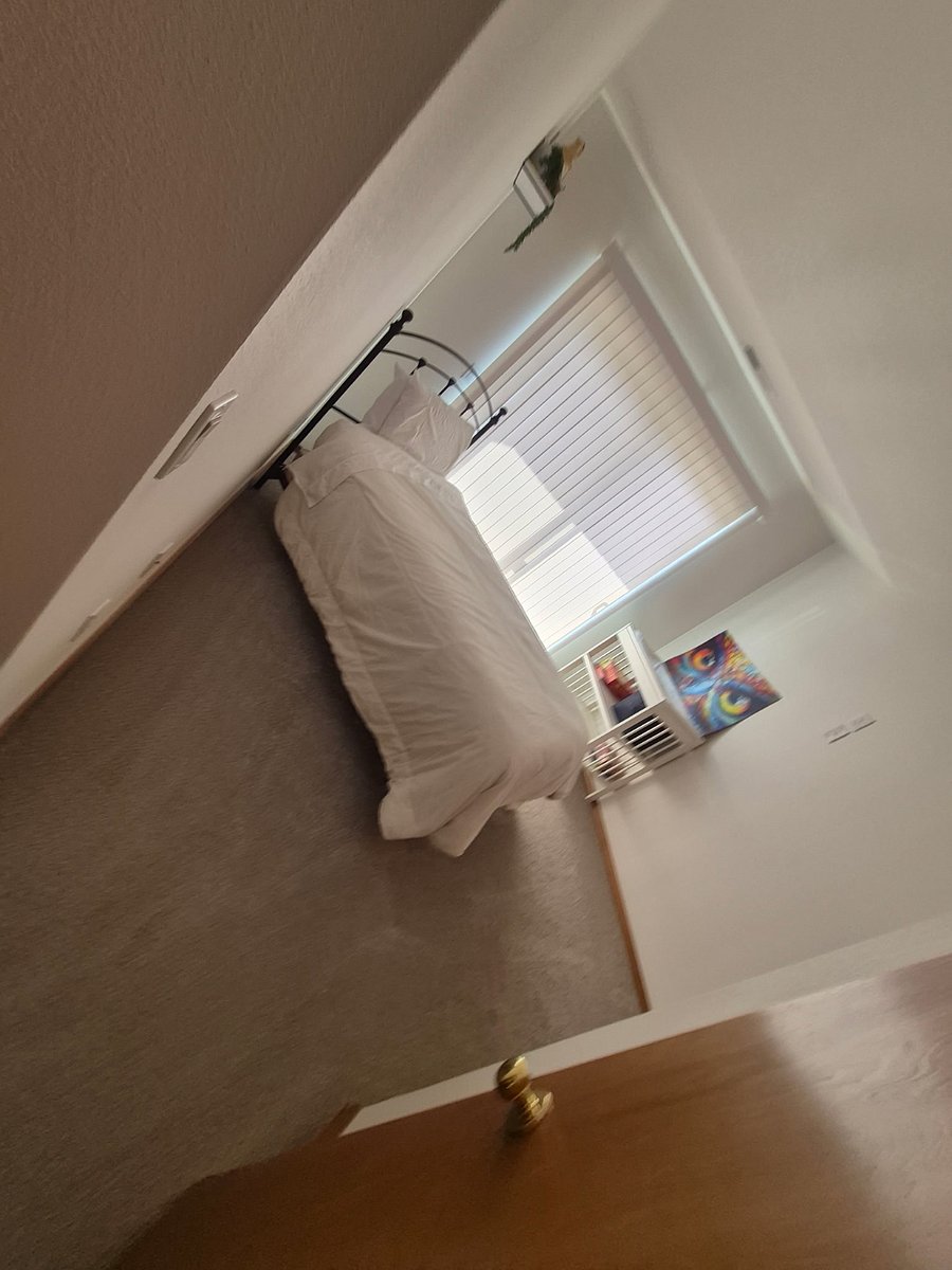 Furnished Finder property 842008_1 photo 13