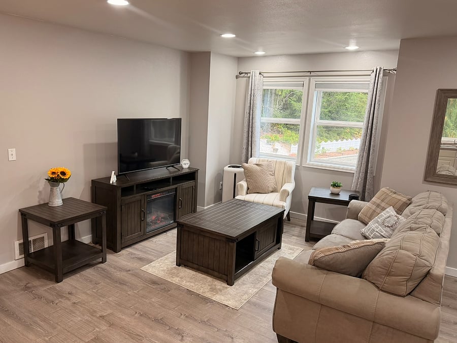 Infrared fireplace under a flatscreen smart TV. 