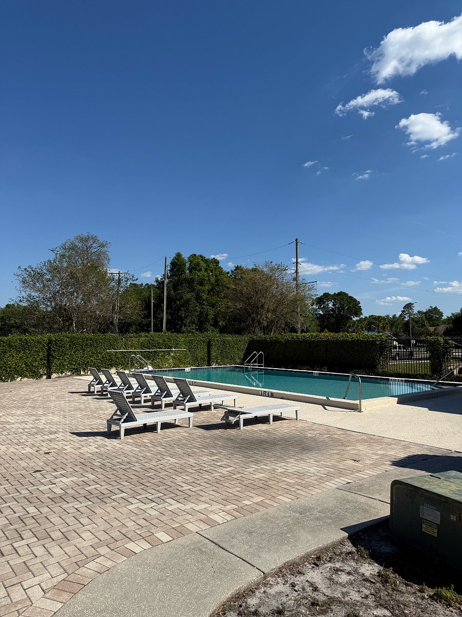 Furnished Finder property 842140_1 photo 27