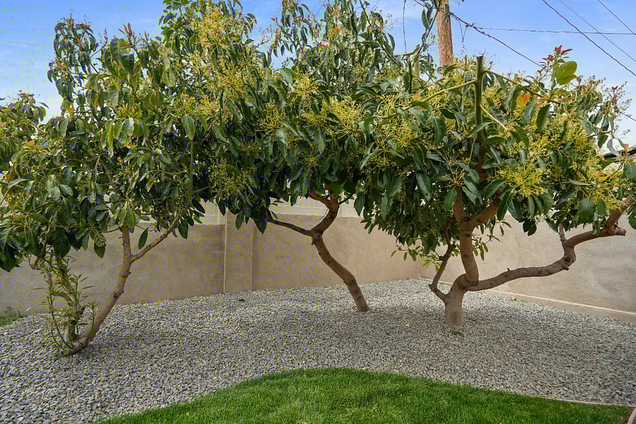 Furnished Finder property 842254_1 photo 26