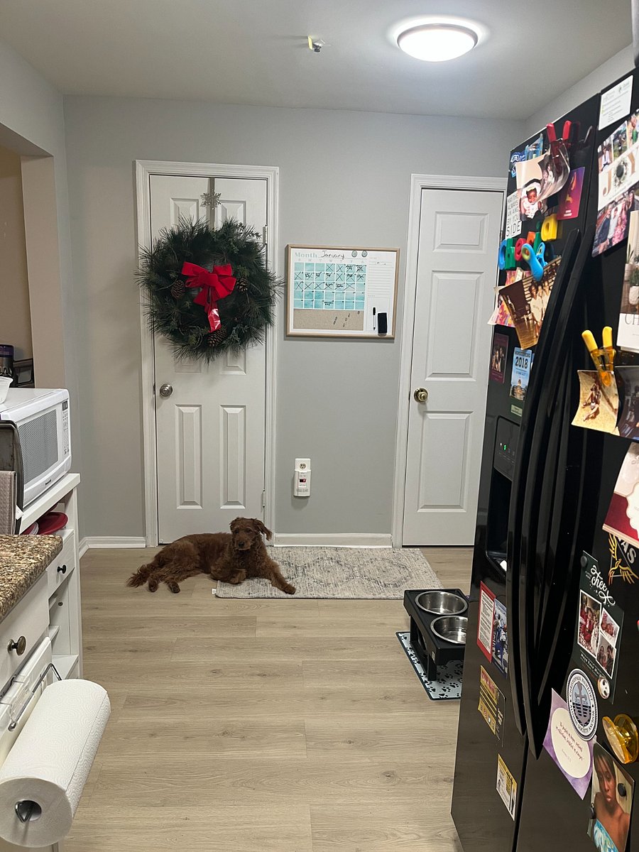 Furnished Finder property 842281_1 photo 14