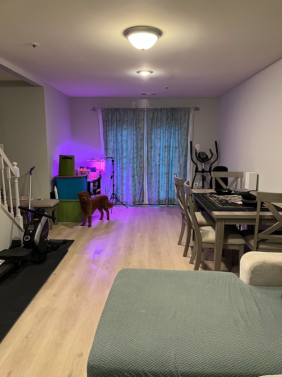 Furnished Finder property 842281_1 photo 12