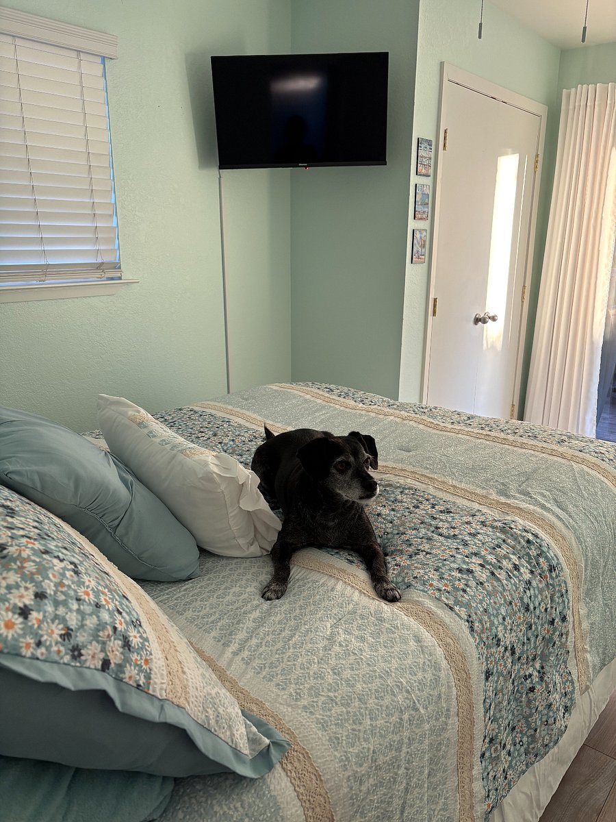 Furnished Finder property 842491_1 photo 10