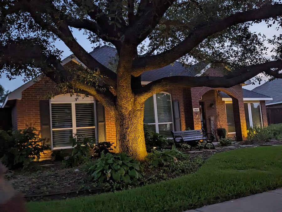 Furnished Finder property 842502_1 photo 4