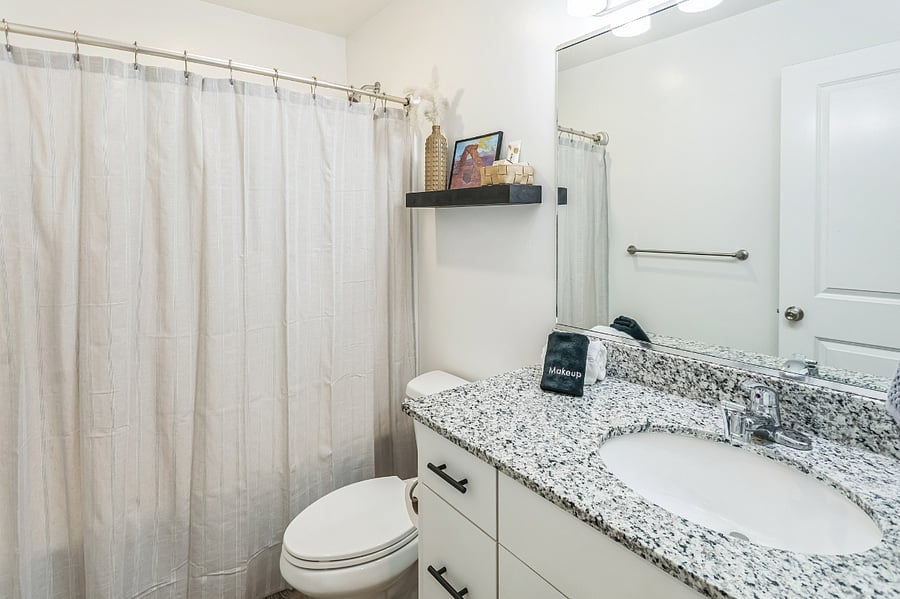 Hall bathroom