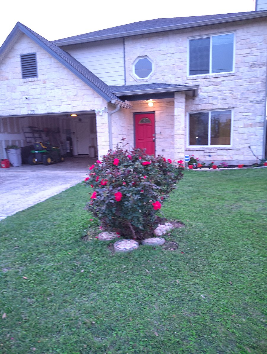 Furnished Finder property 842620_1 photo 20