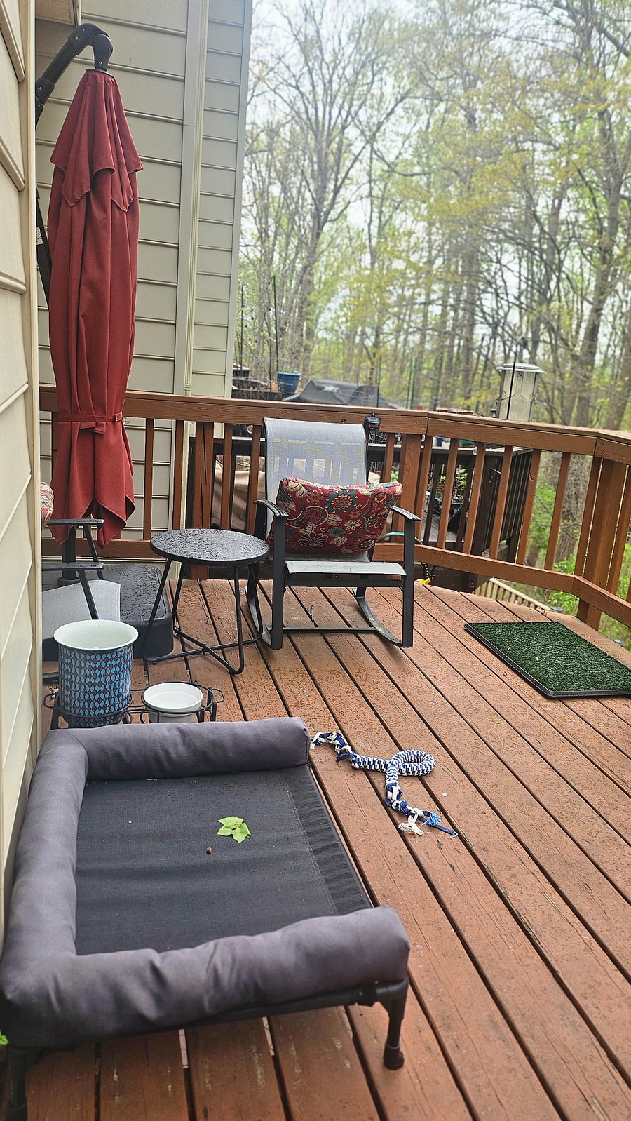 Furnished Finder property 842754_1 photo 17