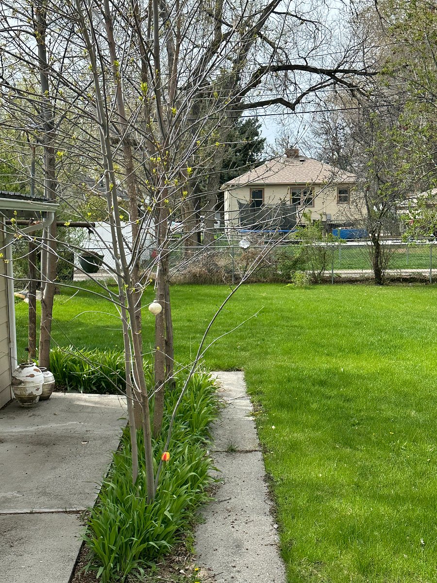 Furnished Finder property 842770_1 photo 10