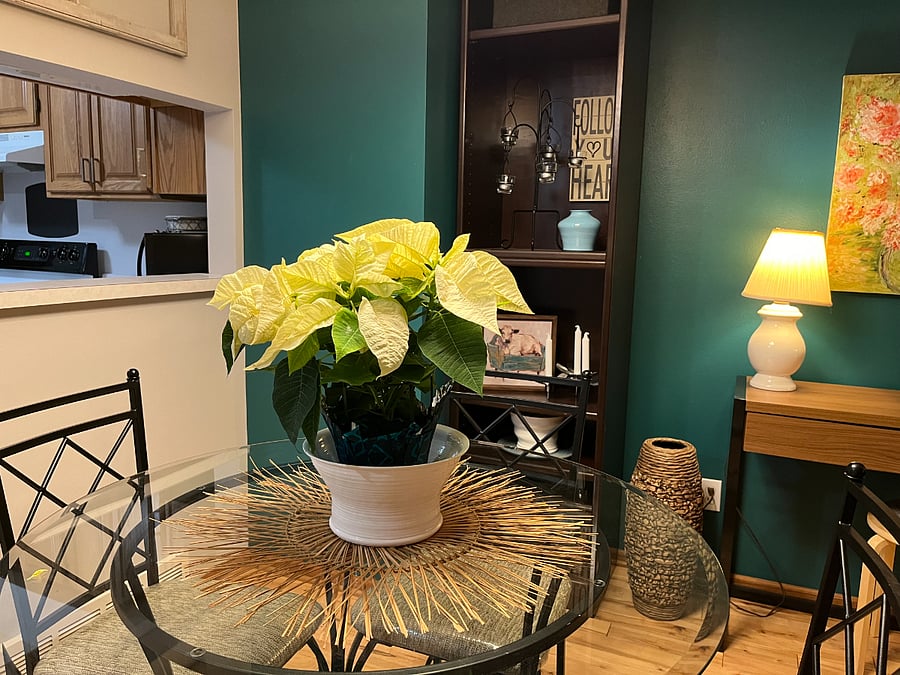 Have friends or family over for a meal with this separate dining area