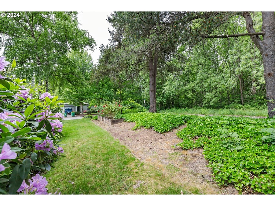 Furnished Finder property 842781_1 photo 15