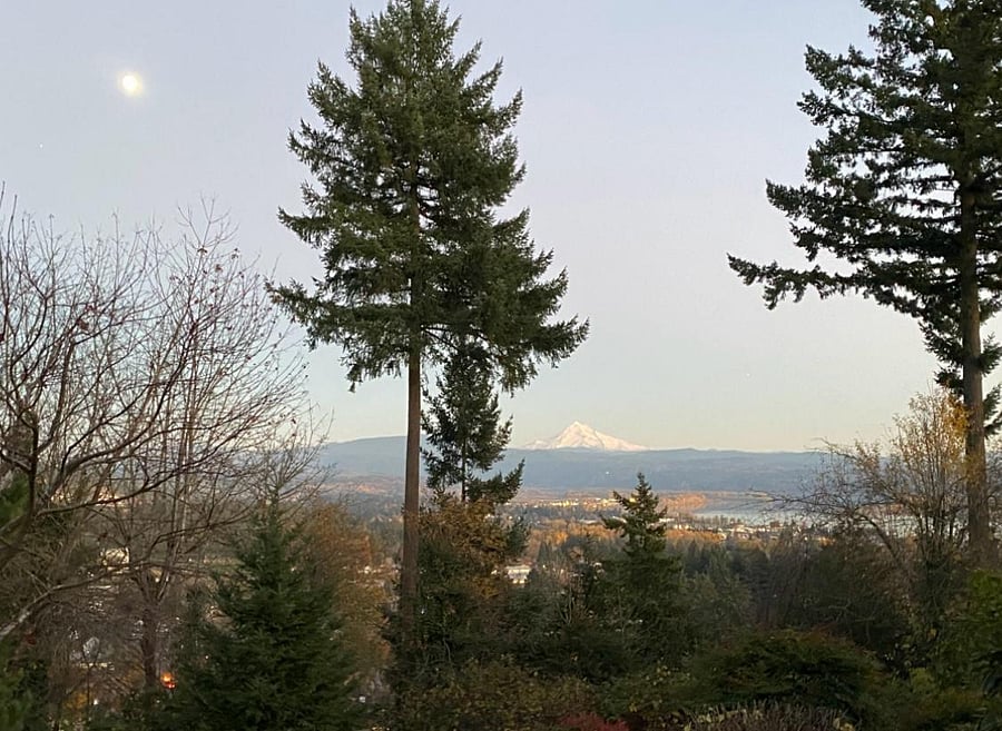 Another Mt. Hood view from the landing/reading nook and east facing windows in living room