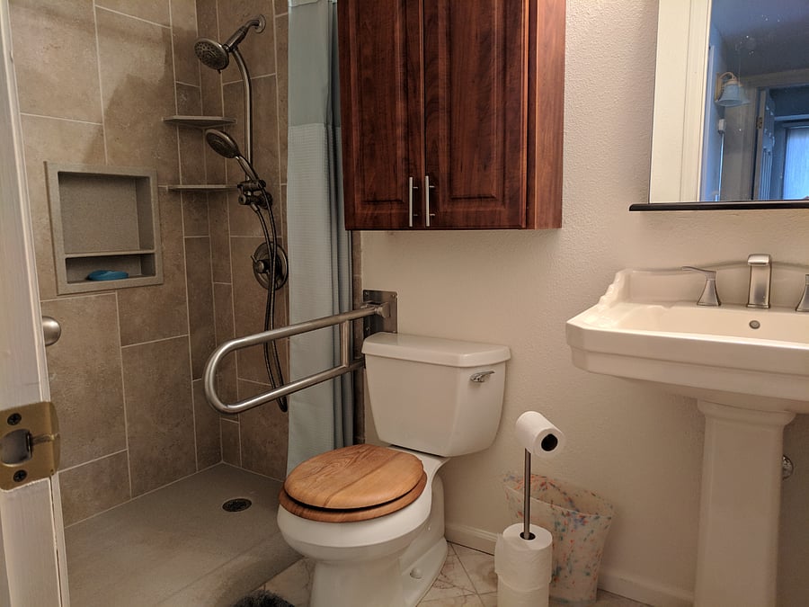 Roll-in shower, retractable handrail. pedestal sink