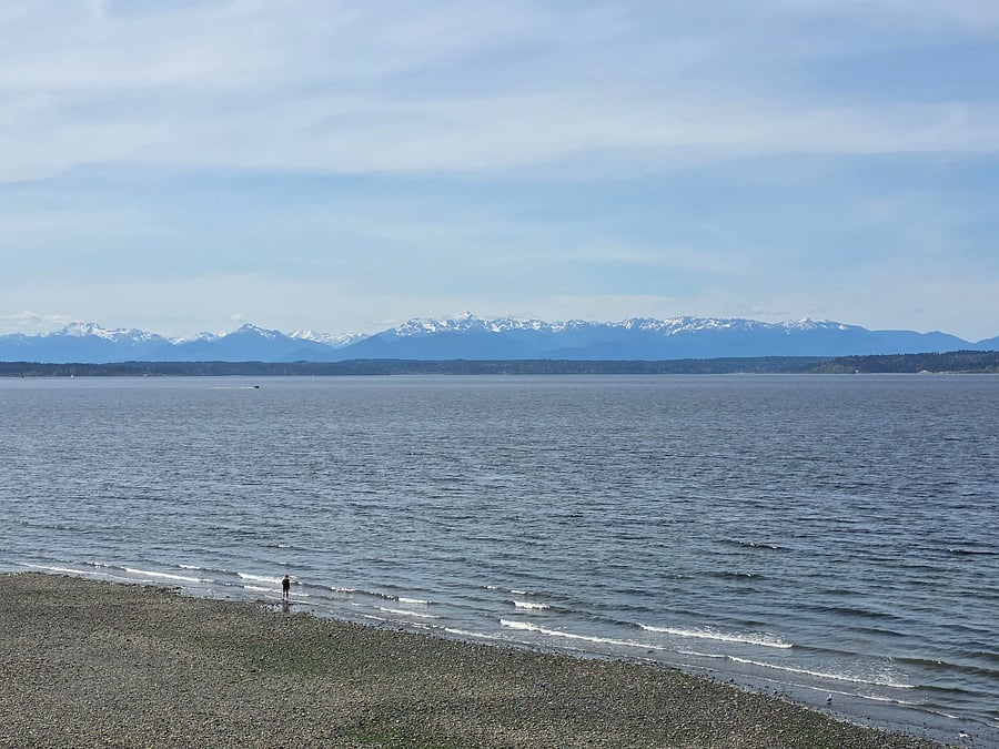 View from the beach at nearby Carkeek park