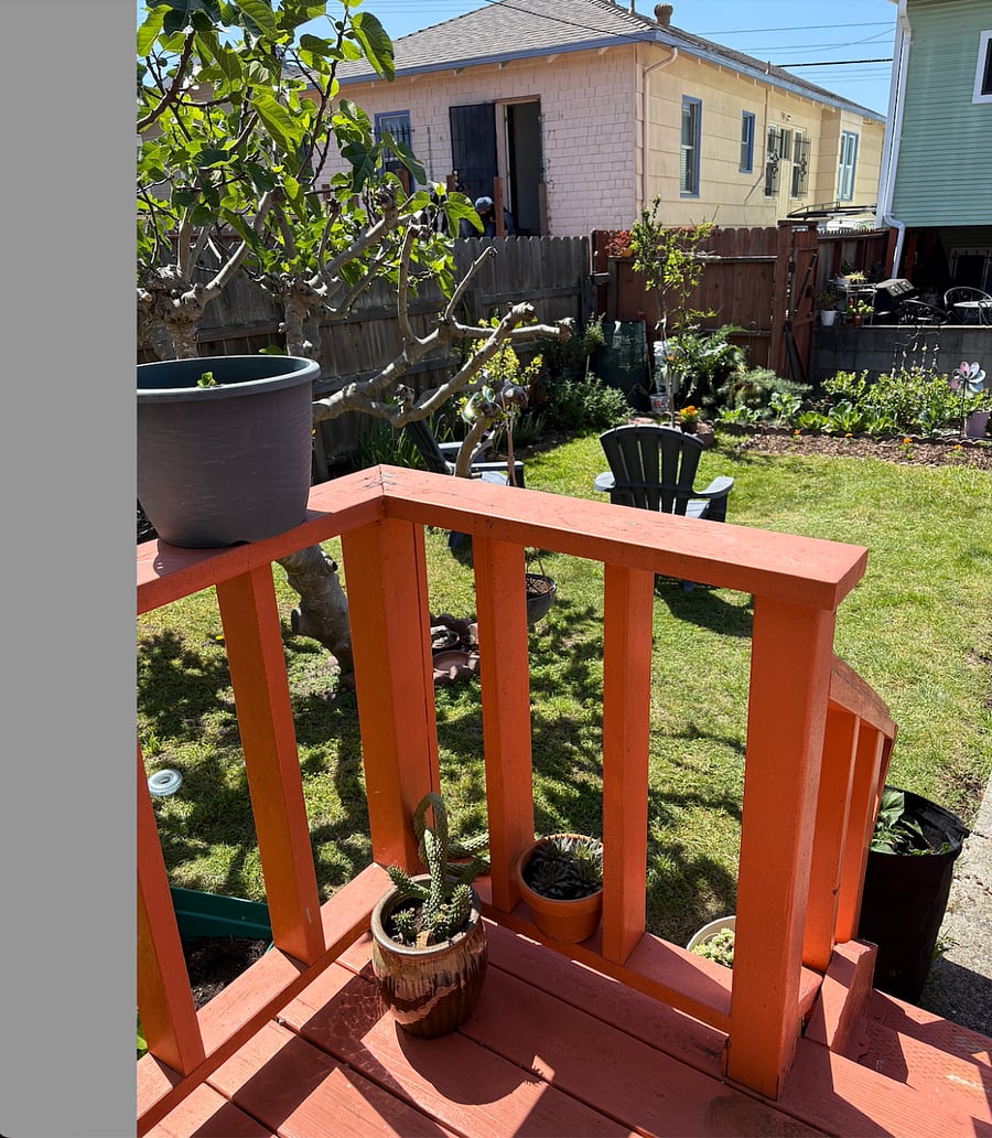 Furnished Finder property 843250_1 photo 12