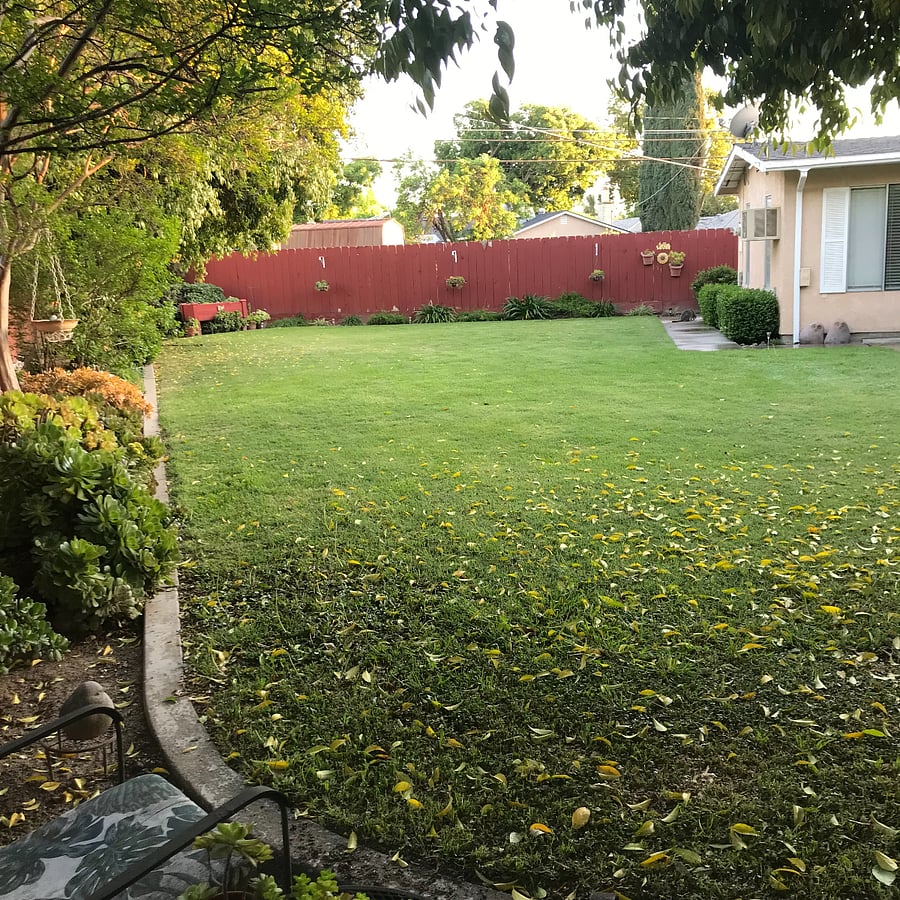 Furnished Finder property 843275_1 photo 13