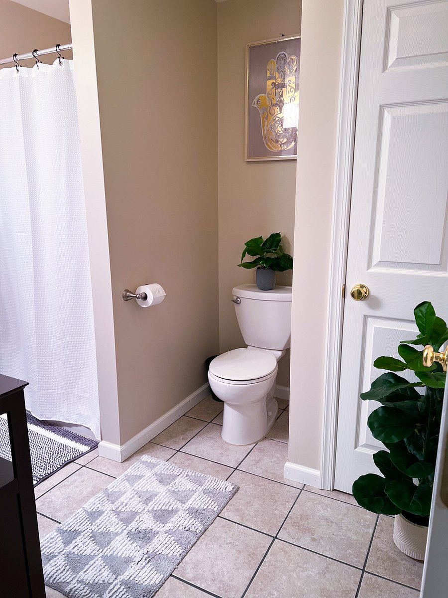 Furnished Finder property 843322_1 photo 10