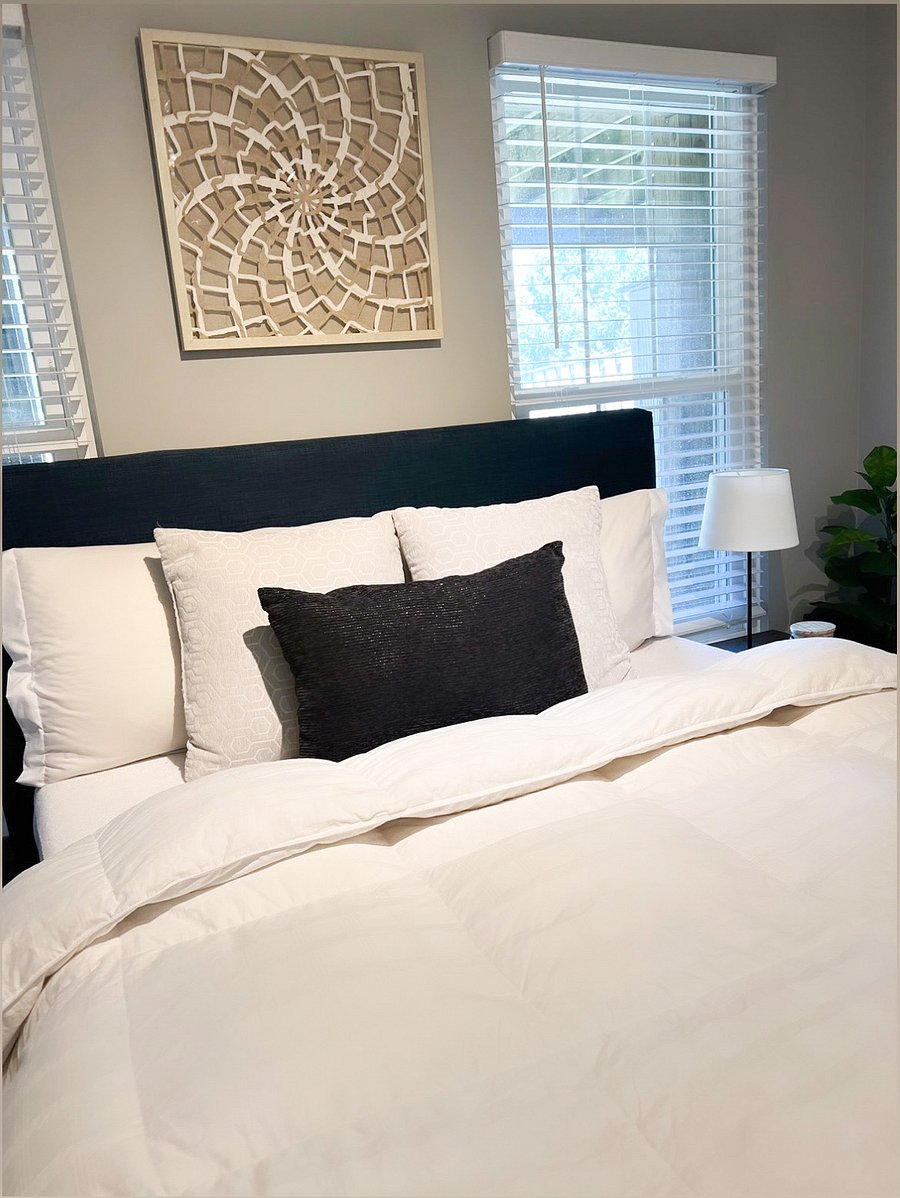Furnished Finder property 843322_1 photo 11