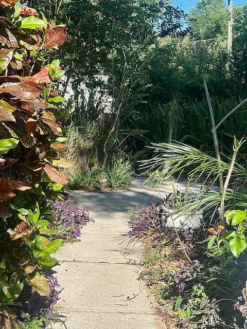 Walkway from parking space to the front door.