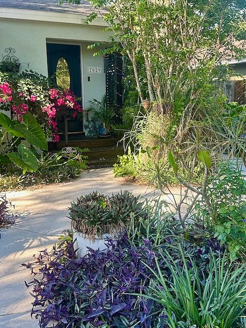 View of the walkway to the front door.