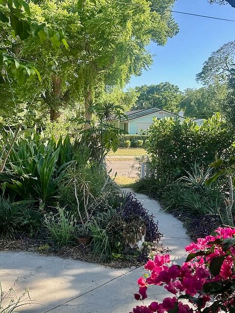View to the road from the front yard.