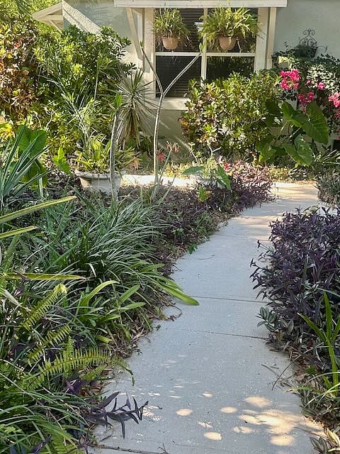 Walkway from the road to the house.