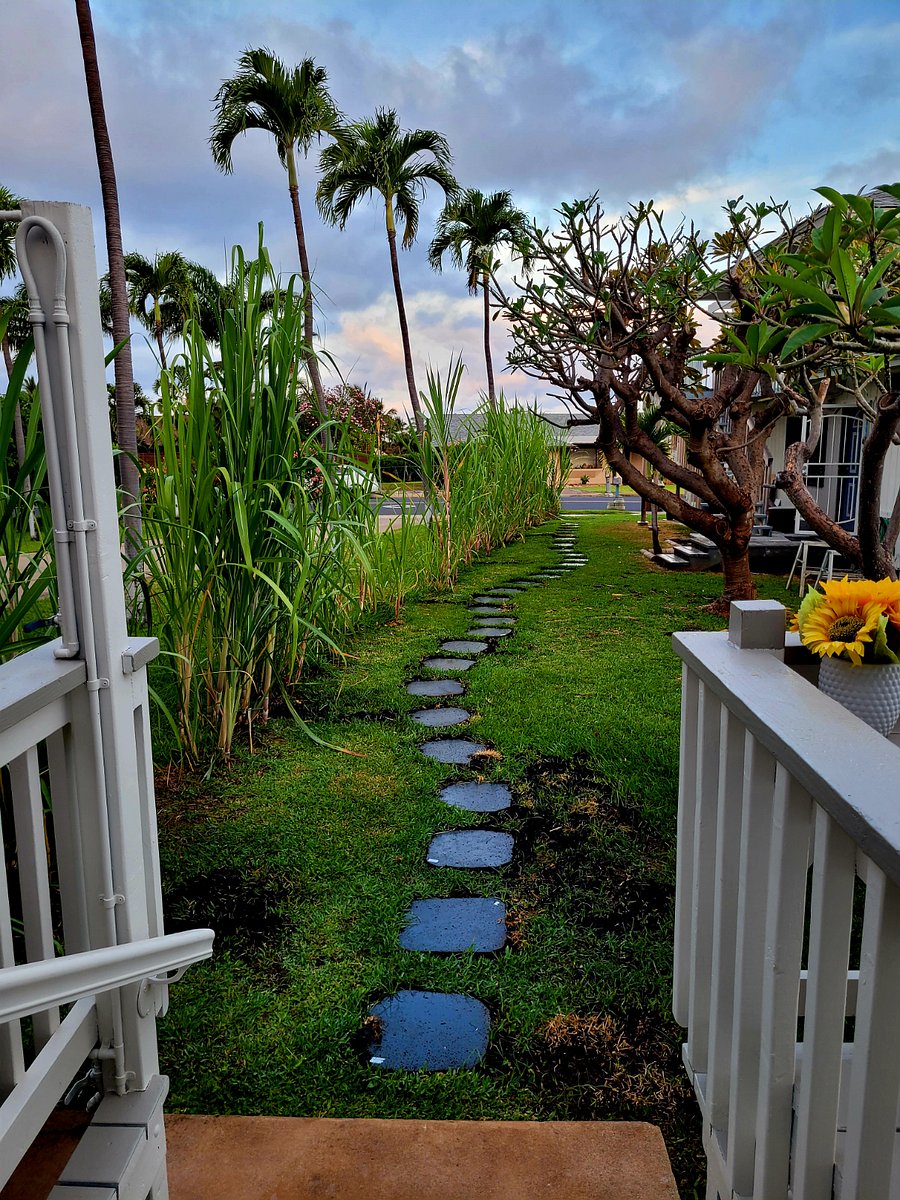 Furnished Finder property 843652_1 photo 13
