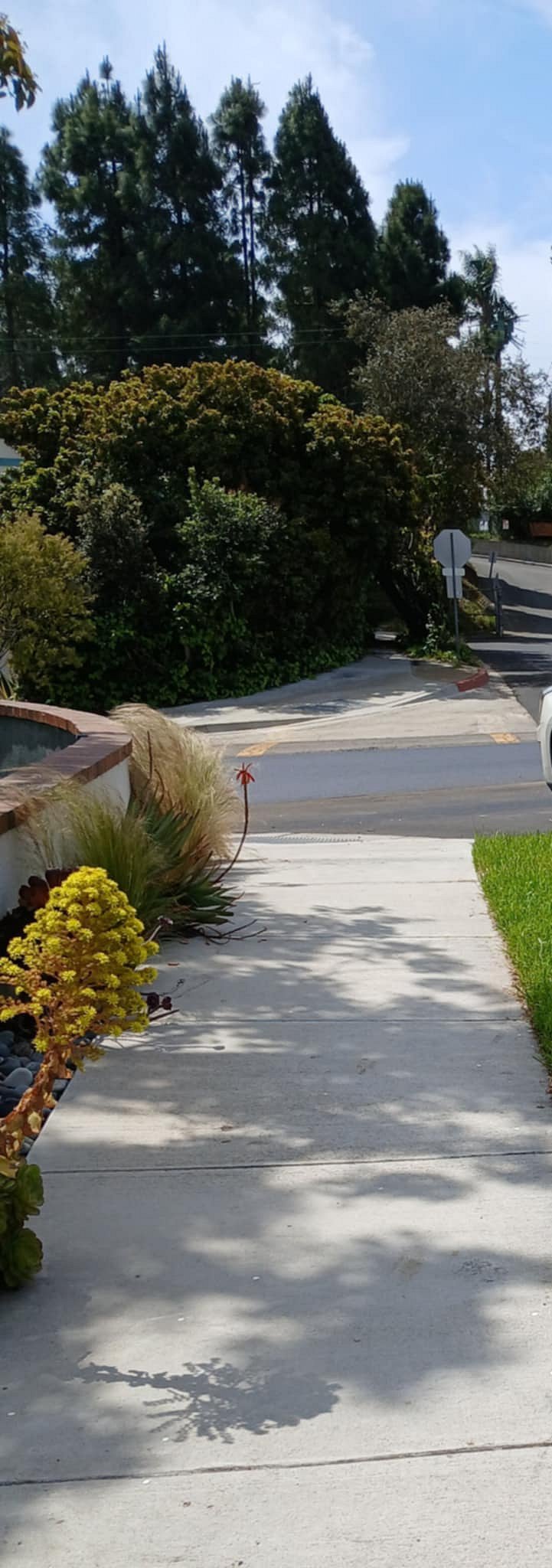 Nice neighborhood, plenty of street parking.