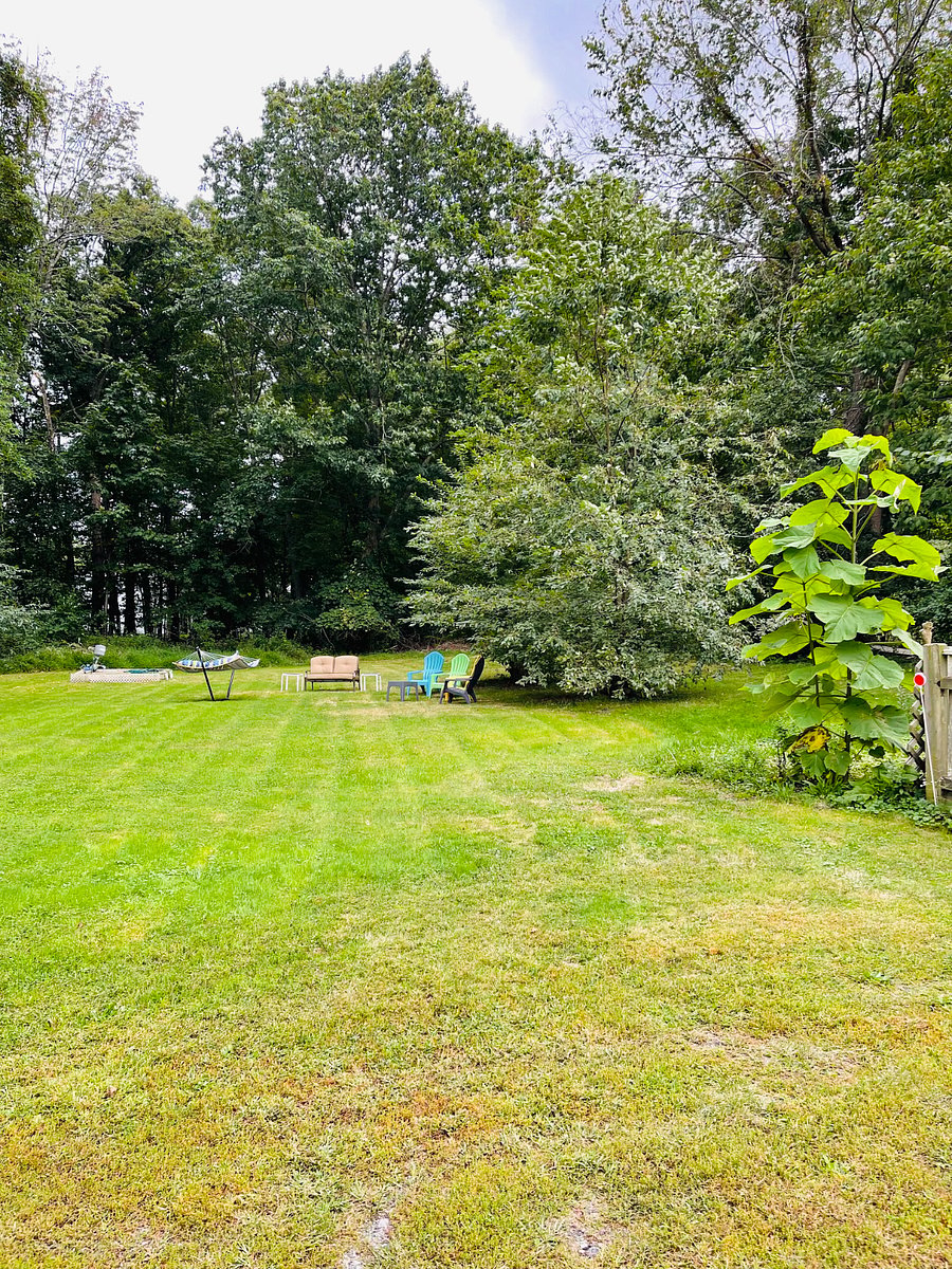 Furnished Finder property 844087_1 photo 16
