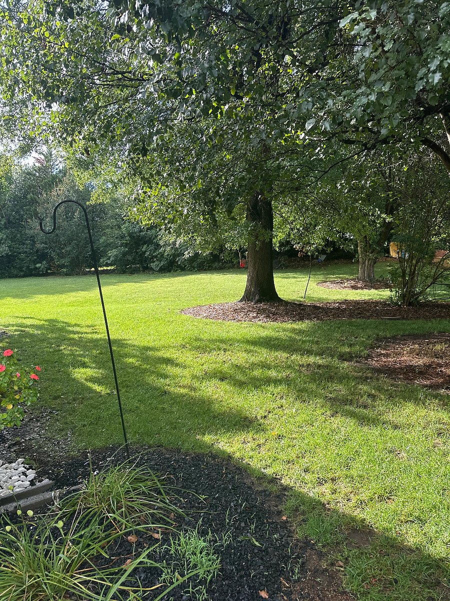 Part of our backyard