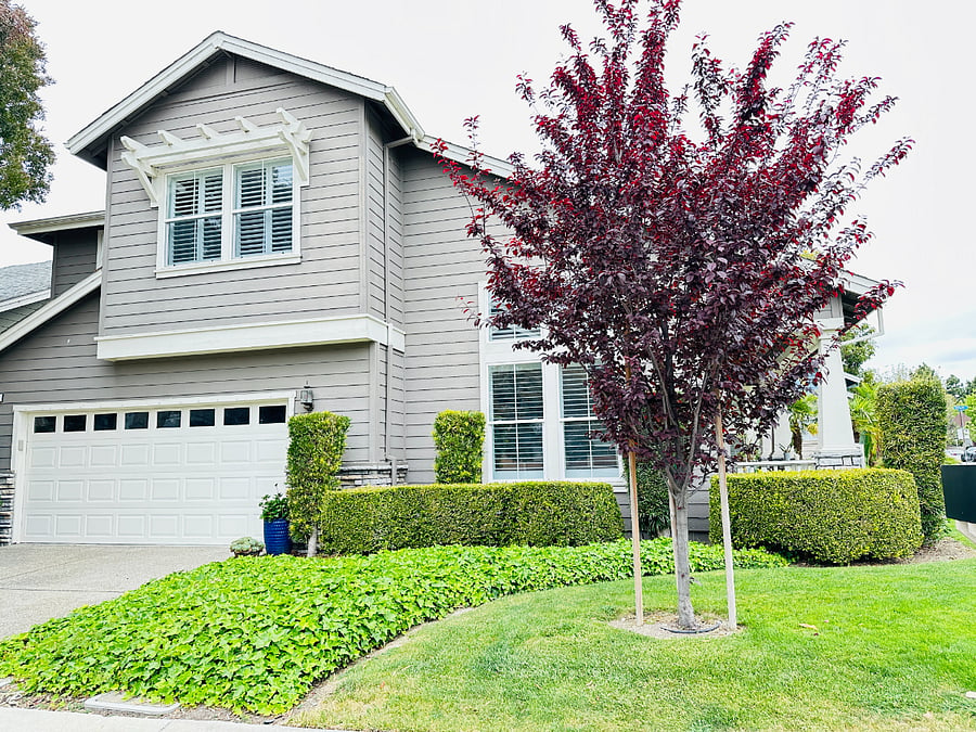 Furnished Finder property 844410_1 photo 12