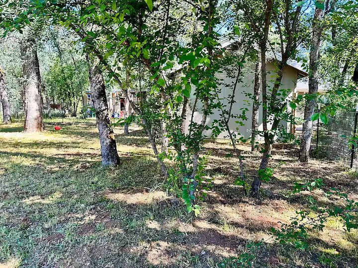 Furnished Finder property 844457_1 photo 15