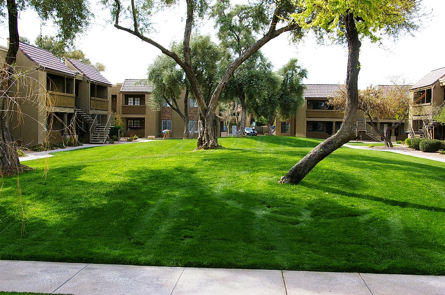 View from unit