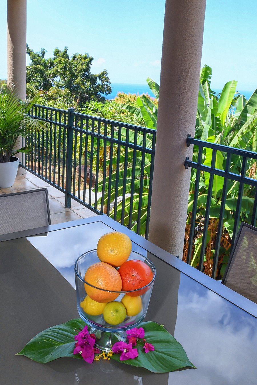 Furnished Finder property 845012_1 photo 15