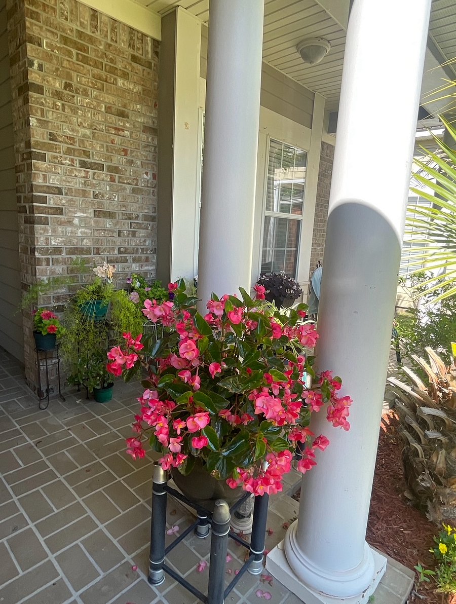 Furnished Finder property 845169_1 photo 5