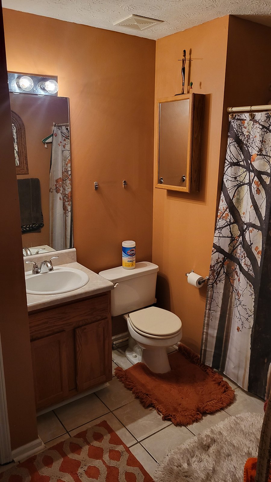 Furnished Finder property 845254_1 photo 3