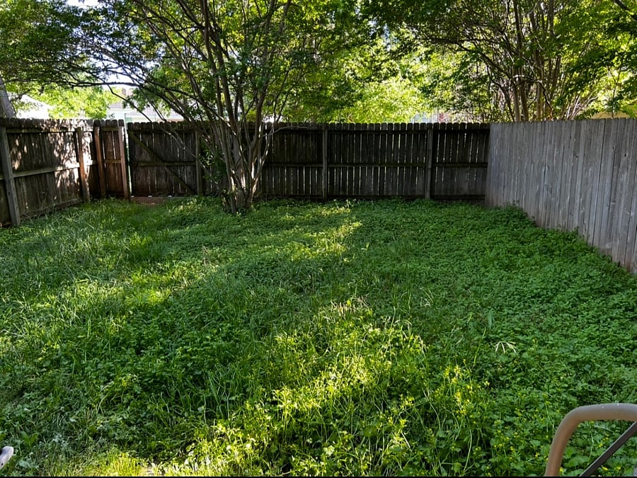 Furnished Finder property 845256_1 photo 3