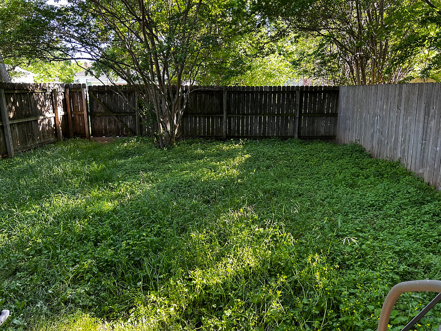 Furnished Finder property 845256_1 photo 9
