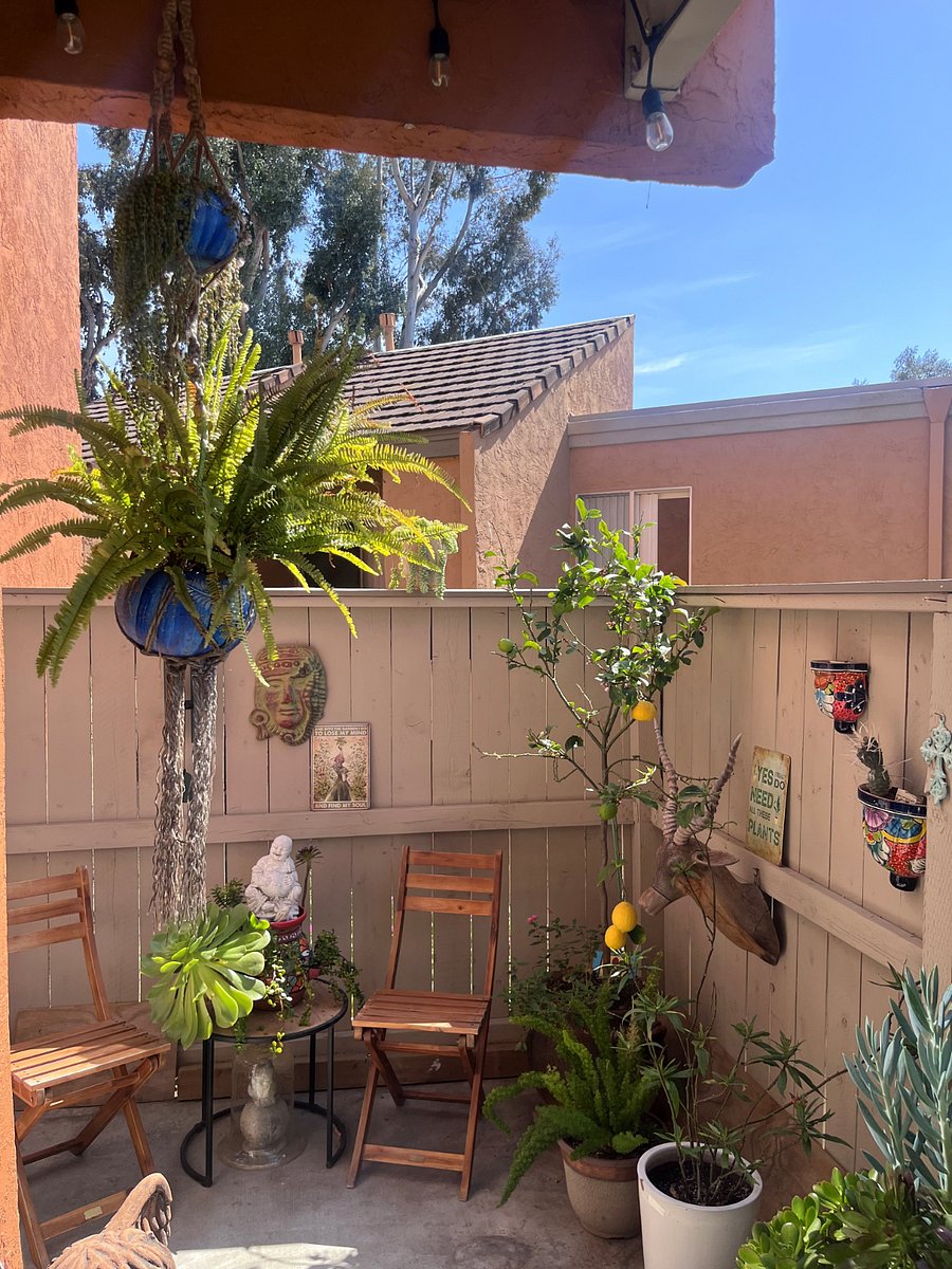 Furnished Finder property 845332_1 photo 21