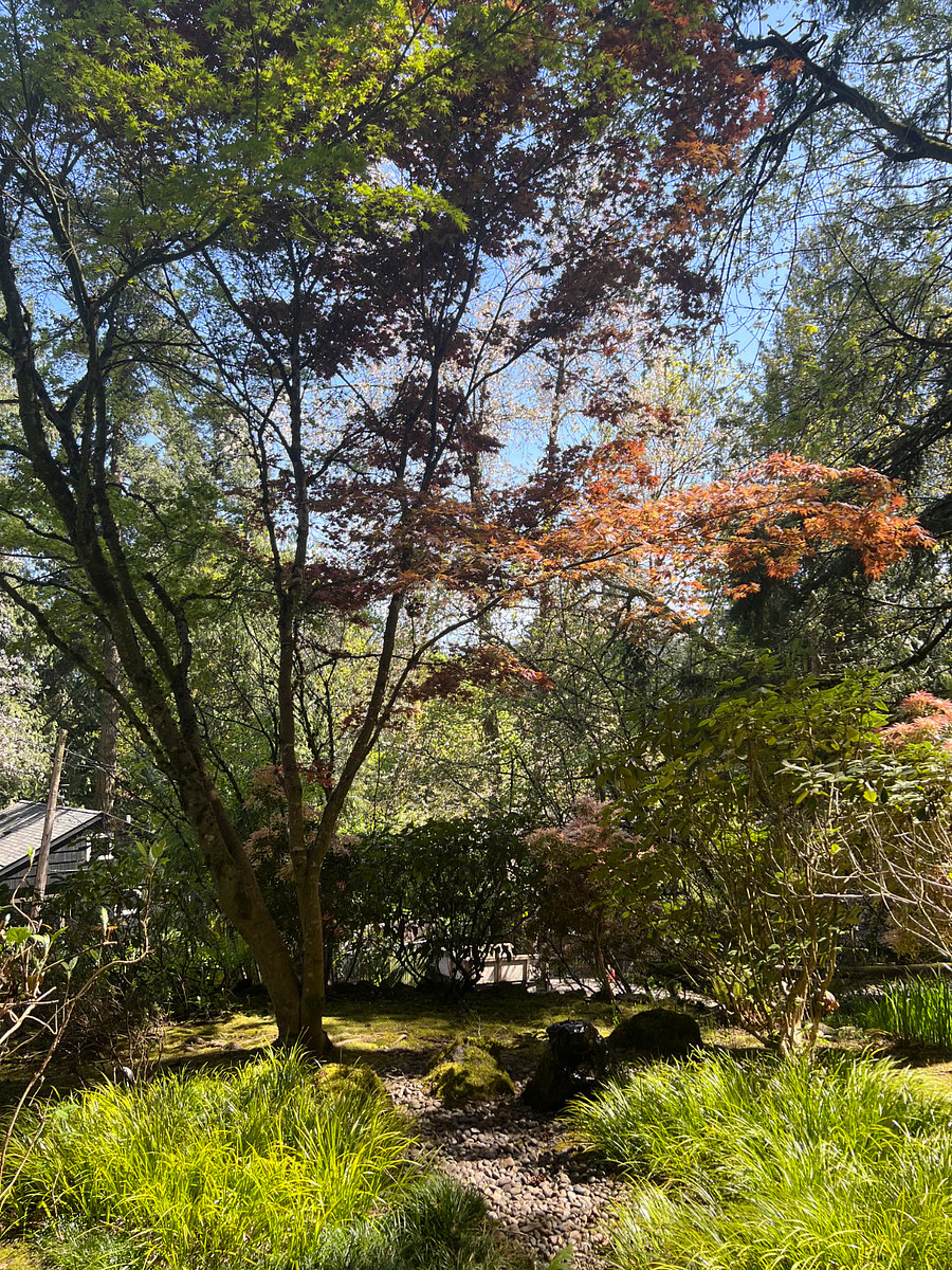 Serene water feature just off front door