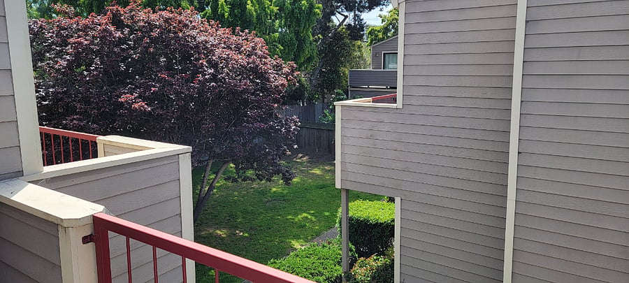 View from primary bedroom of walking path and community lawn area