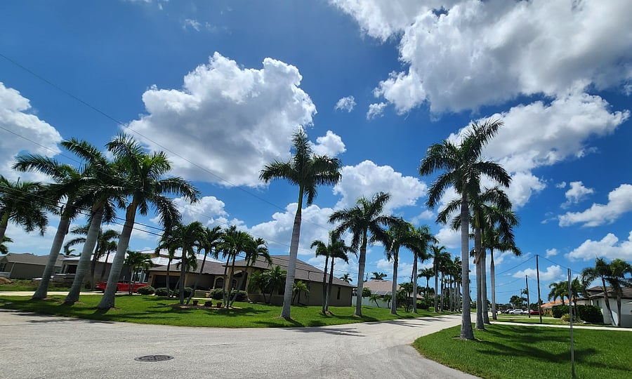 Furnished Finder property 846123_1 photo 23