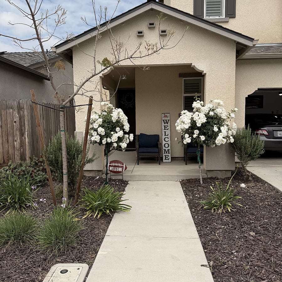 Furnished Finder property 846223_1 photo 17
