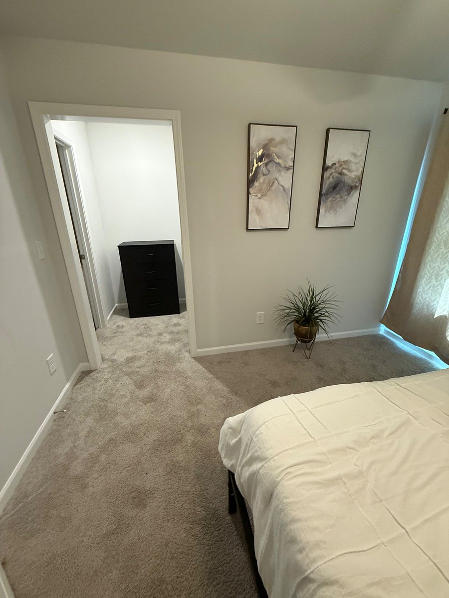 Furnished Finder property 846437_1 photo 22