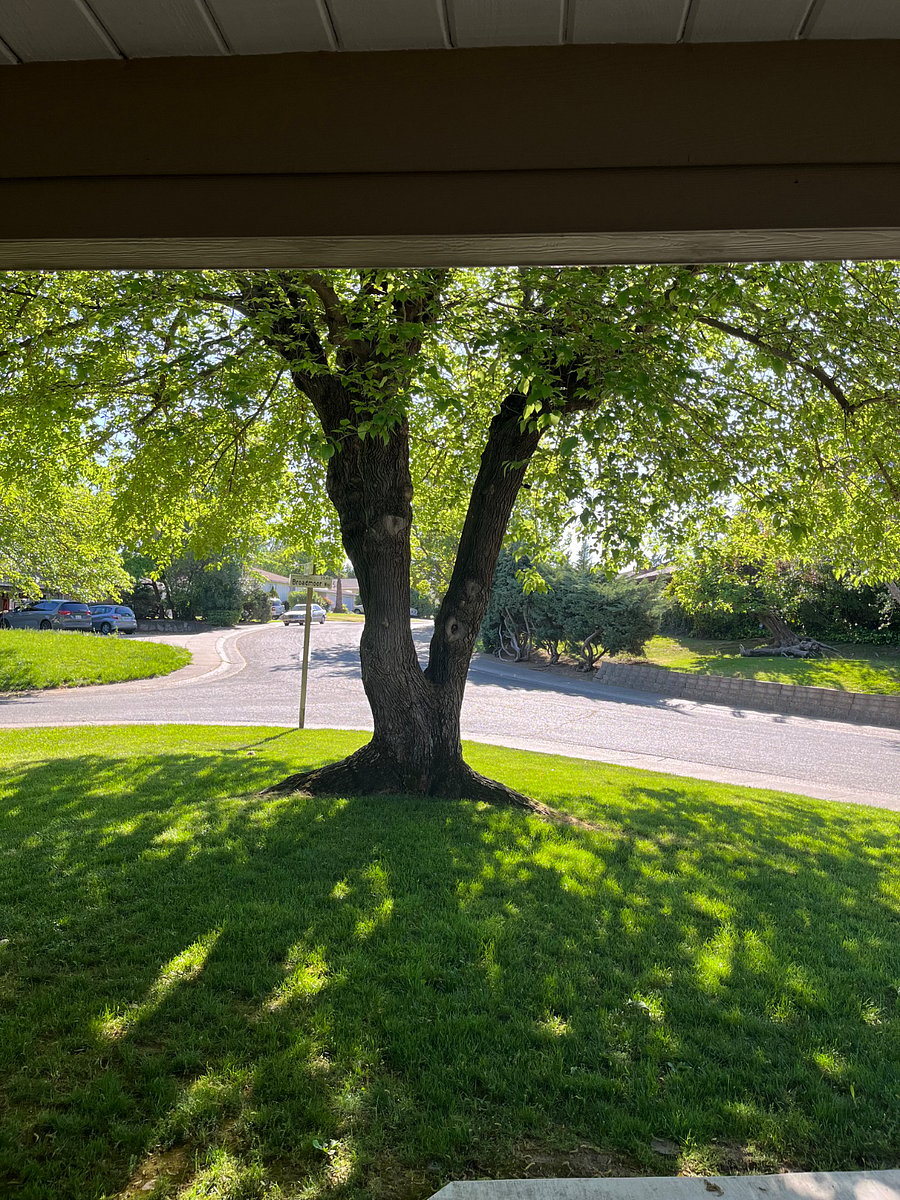 Furnished Finder property 846440_1 photo 17