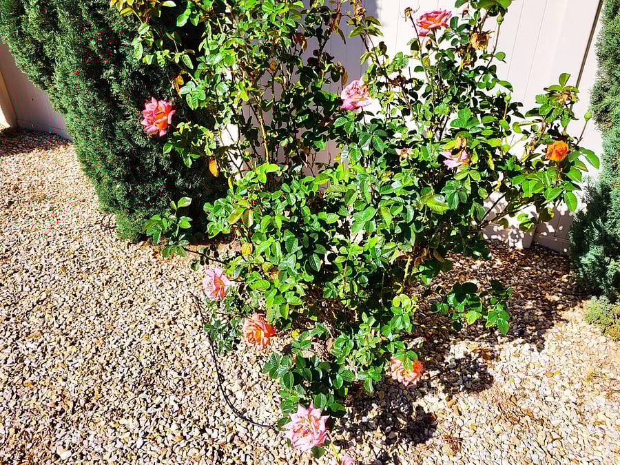 Furnished Finder property 846486_1 photo 61