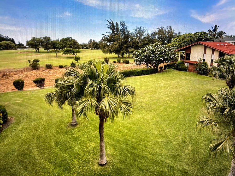 Furnished Finder property 846542_1 photo 5