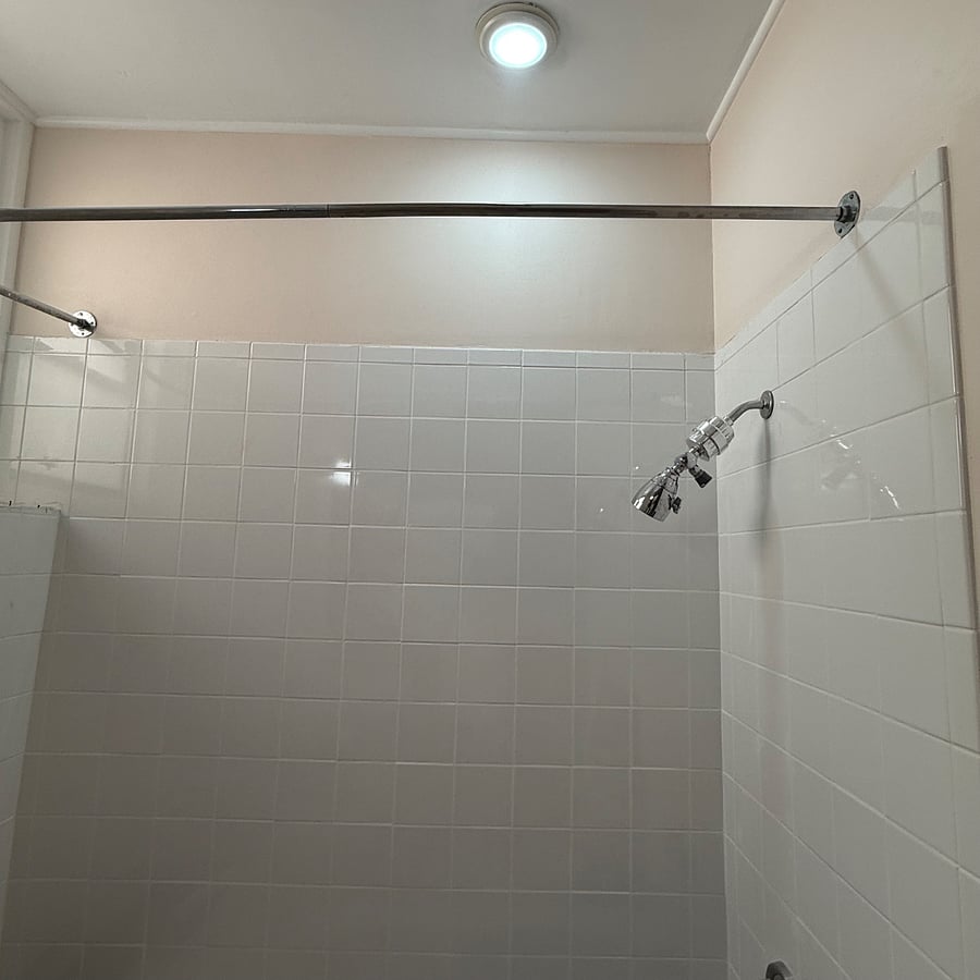Master Bathroom Tub and Shower