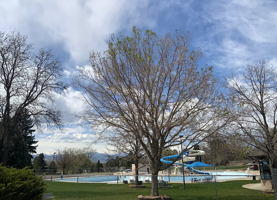 Sunset swimming pool with view of longs peak 2 blocks away