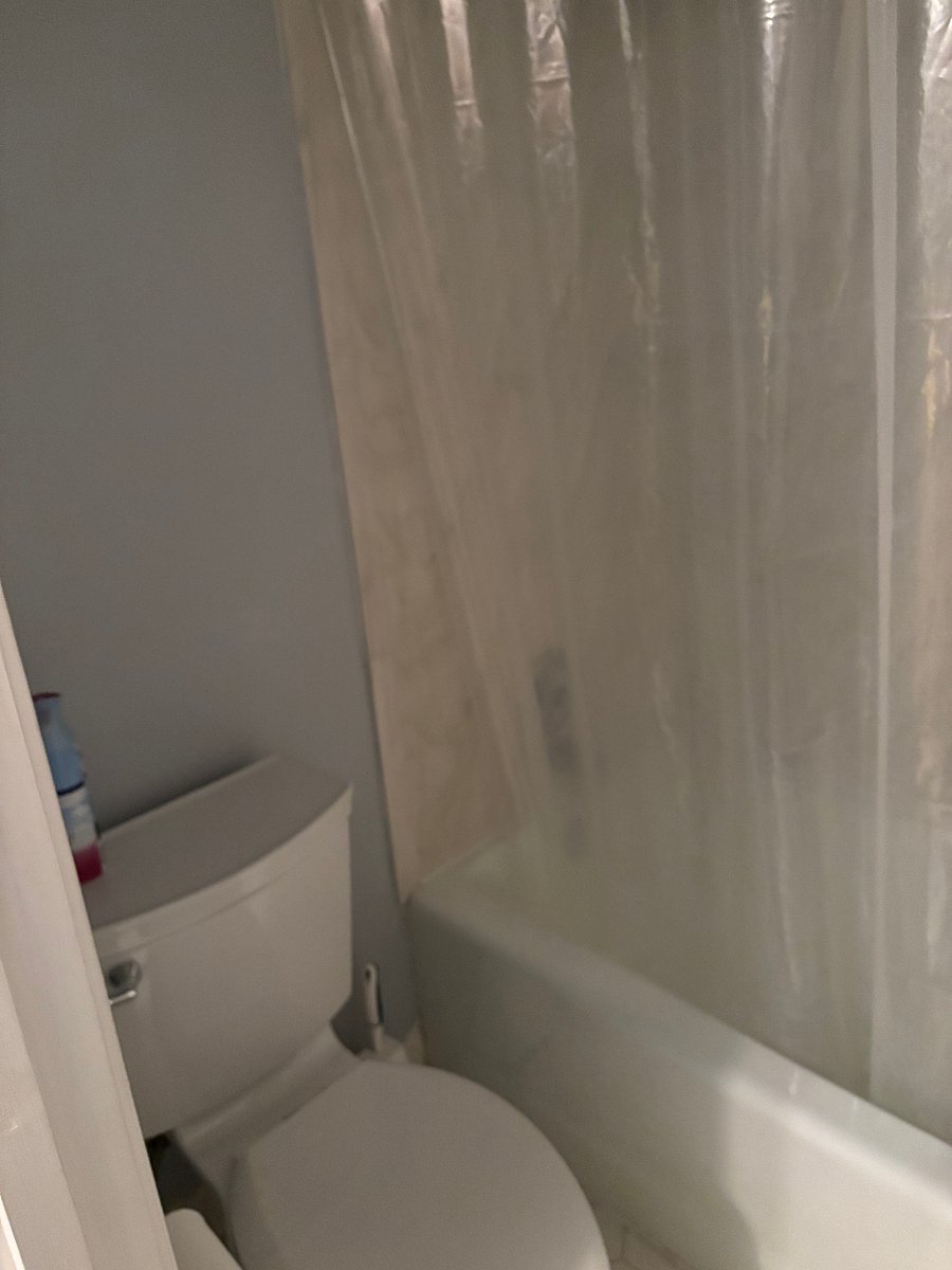 bathroom shower/toilet area